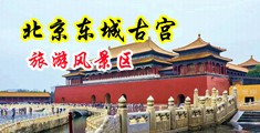 JJ艹小洞小说中国北京-东城古宫旅游风景区